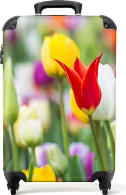 Produktbild von NoBoringSuitcases.com® Koffer Handgepäck Trolley Rollkoffer Kleine Reisekoffer mit 4 Rollen - Tulpen - Pflanzen - Blumen - Frühling - Botanisch - Cabin Size < 55x40x23 cm & 55x40x20 cm - Fotokoffer - Kabinenkoffer - BoardgepäckHandgepäck Koffer 55x35x20 cm, 36L,