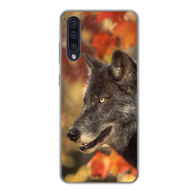 Produktbild von MuchoWow® Handyhülle Schutzhülle Hülle für Samsung Galaxy A50 Wolf - Nahaufnahme - Blätter Silikon Softcase Handy Hülle - Mobiltelefonhülle