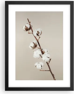 Produktbild von Gerahmtes Poster - Schwarzer Rahmen - Baumwolle Zweig Boho - 30x40 cm - Wand Bild - Wanddeko - Wandbilder - Kunstposter - Wandposter - Bilderrahmen - Bilder - Kunstdruck - P2BPA30x40-4730