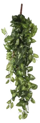 Produktbild von Kunstpflanze Purpurtute Syngnoium H 15 cm