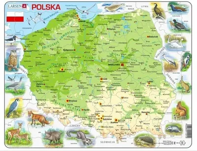 Image de Carte physique de la Pologne 61 éléments