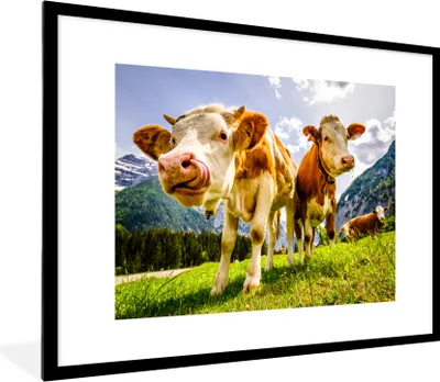 Produktbild von MuchoWow® Gerahmtes Poster Kühe - Berge - Gras - Landschaft - Alpen 80x60 cm - Poster mit Schwarzem Bilderrahmen Wandposter Rahmen Foto Bilder - Schlafzimmer-Dekorationen - Fotoposter