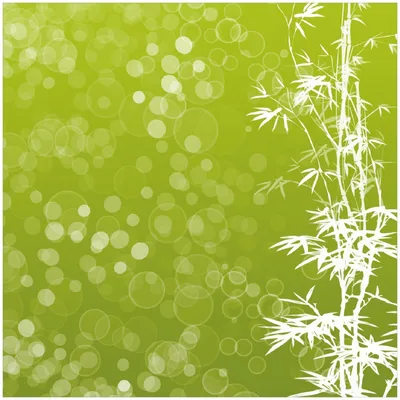 Produktbild von Wallario Premium Glasbild, freischwebende Optik, kräftige Farben, Größe 30 x 30 cm Motiv Bambusmuster grün-weiß