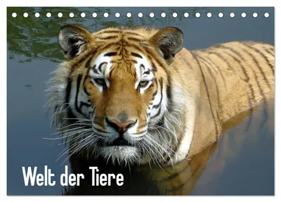 Produktbild von Welt der Tiere (Tischkalender 2027 DIN A5 quer), CALVENDO Monatskalender