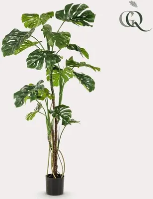 Produktbild von Monstera - okenný list - umelá rastlina - izbová rastlina - ↕180cm