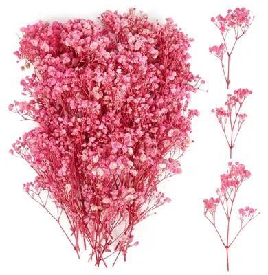 100 getrocknete Schleierkrautblüten, rosa, 5-10 cm, für DIY