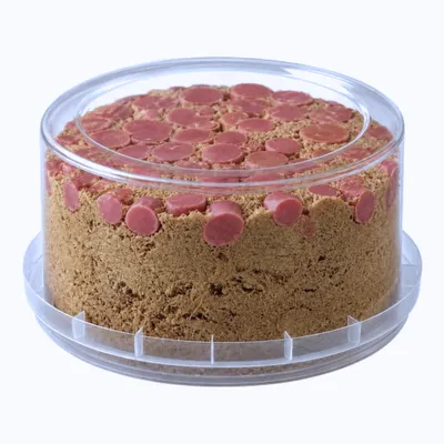 Kandylas Halva mit Ruby-Schokolade 500 g Dose auf weißem Grund