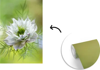 Produktbild von MuchoWow® Fototapete für Wohnzimmer oder Schlafzimmer Wandtapete Vinyl Motivtapete Eine Nahaufnahme der Nigella - 150x220 cm - Wandbilder