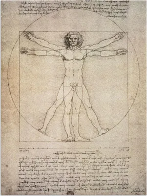 Produktbild von ARTland Wandbild Alu für Innen & Outdoor Proportionszeichnung, nach Vitruv. 1490 Größe: 45x60 cm