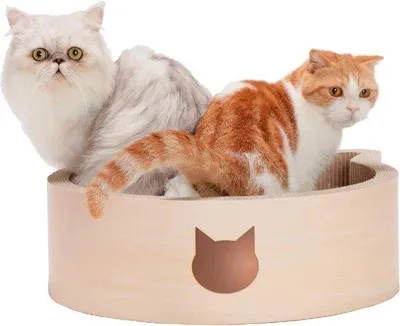 Image de Lit pour chat « Tête de chat » en bouleau, grand format, 1,55 kg