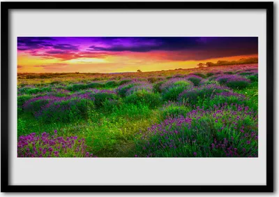 Produktbild von Bild 100x70 MDF-Rahmen Wandkunst Wiese Natur