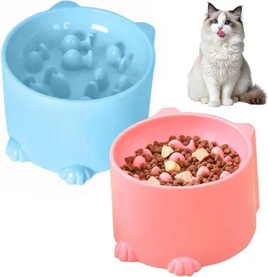 Produktbild von Langsameset-Set für Katzen und kleine Hunde, Gesundheitsdoolhof für langsame Futterung, Anti-Braken-Set, für Katzen und kleine Hunde, in Rosa und Blau