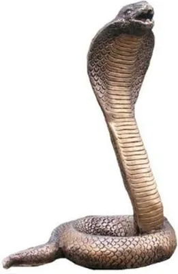 Zdjęcie produktu dla Casa Padrino figurka dekoracyjna wąż kobra antyczne złoto h. 30 cm - rzeźba dekoracyjna - dekoracja salonu - dekoracja biurka - akcesoria dekoracyjne