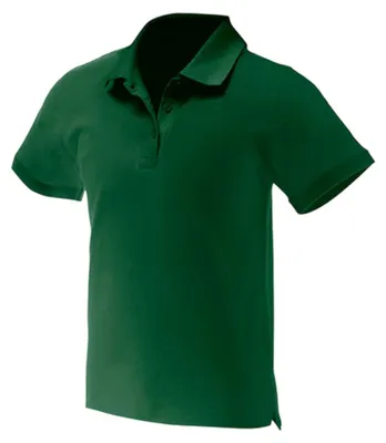 Produktbild von Nath - Poloshirt für Herren LT3103 (M) (Flaschengrün)