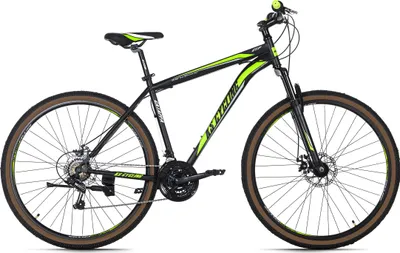 Produktbild von KS Cycling Mountainbike Hardtail 29 Zoll Catappa schwarz-grün