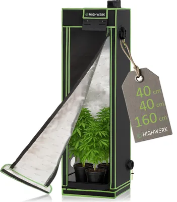 A grow tent with plants inside, shown with the front flap open.
