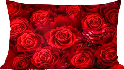 Produktbild von MuchoWow® Zierkissen Sofakissen Wohnzimmer Dekokissen 50x30 cm Blumen - Rosen - Rot - Wohnzimmerdekoration - Polster mit Photo