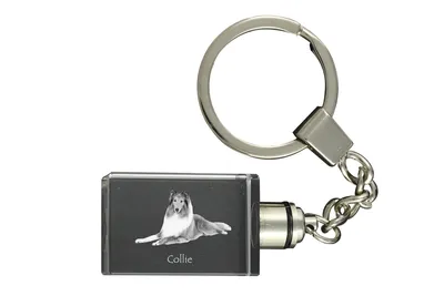 Produktbild von Art-Dog Schlüsselanhänger Langhaarcollie