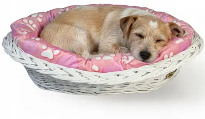 Produktbild von DOTTY Hundekorb Weide Rosa mit Herzchen waschbar Größe M