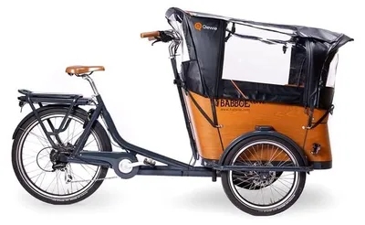 Immagine prodotto di Tenda per cargo bike, senza pali