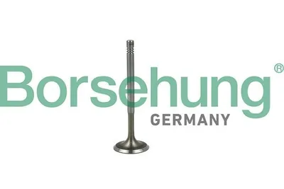 Produktbild von Borsehung B19019 Einlassventil für VW Golf V Schrägheck (1K1)