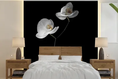 Produktbild von MuchoWow® Fototapete für Wohnzimmer oder Schlafzimmer Wandtapete Vinyl Motivtapete Orchidee - Blumen - Schwarz - Weiß - Stilleben - 220x220 cm - Tapeten