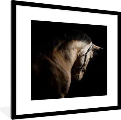 Produktbild von MuchoWow® Gerahmtes Poster Pferde - Halfter - Schwarz 40x40 cm - Poster mit Schwarzem Bilderrahmen Wandposter Rahmen Foto Bilder - Poster - Plakat im Rahmen