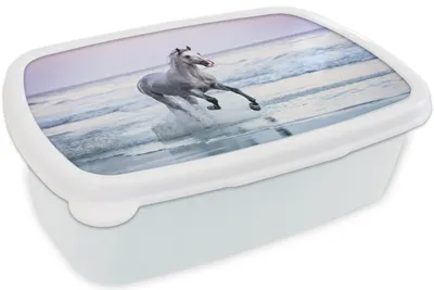 Produktbild von KitchenYeah® Lunchbox Brotzeit Brotdose 17x11 cm Pferde - Luft - Meer Kinder Brotzeitdose - Lunch Box - Kinder - Sandwich-Box - Schulbox - Lunch Boxen