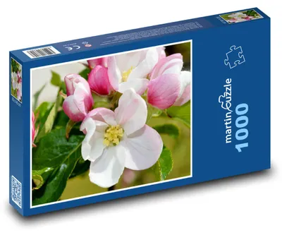 Zdjęcie produktu dla Puzzle 1000 Kwiaty jabłoni - liście, drzewo - martinpuzzle