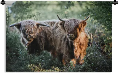 Produktbild von MuchoWow® Wandteppich Wandbehang Schottische Highlander - Wald - Tiere 90x60 cm Tapisserie Dekoration Wandtuch - Wandskulpturen - Bildteppich
