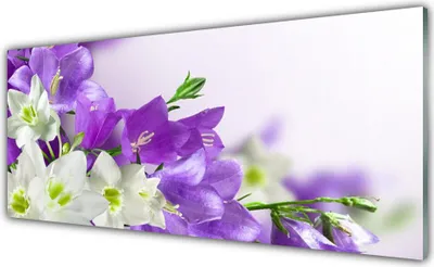 Produktbild von Acrylglasbilder 125x50 Wandbild Druck Blumen Pflanzen