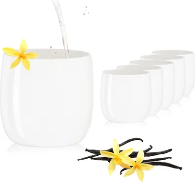 Produktbild von PLATINUX Elegante Weiße Trinkgläser aus Glas 260ml (max.320ml) Set 6 Teilig Wassergläser Saftgläser Whiskeygläser