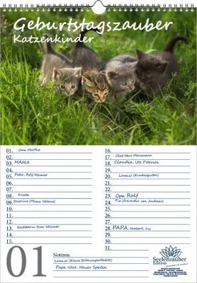 Produktbild von Geburtstagsplaner Geburtstagskalender Katzenkinderzauber DIN A3 Kalender Katzenkinder Katzenbabys - Seelenzauber