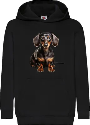 Zdjęcie produktu dla Dziecięca Bluza Z Kapturem Dogs Breeds Dachshund Dog Breed 008, 12-13 Jahr - 152 / Czarny