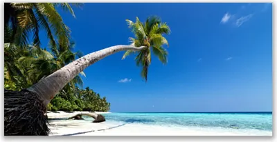 Produktbild von Acrylglasbilder 120x60 Wandbild Druck Strand Palme Meer Landschaft