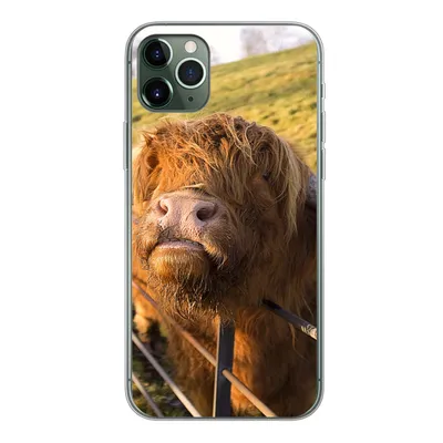 Produktbild von MuchoWow® Handyhülle Schutzhülle Hülle für iPhone 11 Pro Max Scottish Highlander - Zaun - Gras Silikon Softcase Handy Hülle - Schutz