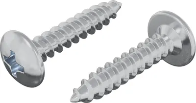 Immagine prodotto di Chiodo autofilettante 2 pcs Zincato 4 x 20 mm Acciaio