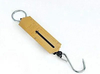Immagine prodotto di Bilancia compatta da 25 kg