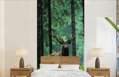 Produktbild von Fotobehang Hert Bos Natur Bäume Tiere Breite 120 cm x Höhe 240 cm
