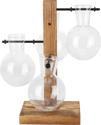 Image de Vase hydroponique innovant avec support en bois, vase de table transparent pour fleurs – idéal pour la maison