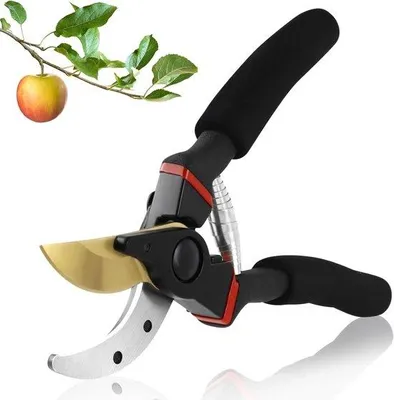 Produktbild von Professionelle Bypass-Schere für Rosen, Blumen und Pflanzen, SK5-Stahl, 20 mm Schneidöffnung, Bonsai-Schere, Tüngerecht für Zweige