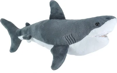 A plush toy shark against a white background.