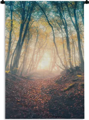 Produktbild von MuchoWow® Wandteppich Wandbehang Wald - Nebel - Sonne - Herbst 60x90 cm Tapisserie Dekoration Wandtuch - Foto-Teppich - Abwaschbar