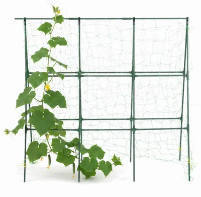 Produktbild von Relaxdays Gurken-Rankhilfe Gestell, A-Form, HB: 114x135 cm, Rankgitter für Kletterpflanzen, Gemüse, Stahl & PE, grün
