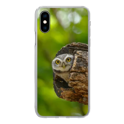 Produktbild von MuchoWow® Handyhülle Schutzhülle Hülle für iPhone X Eule - Baby - Baum Silikon Softcase Handy Hülle - Handyhülle