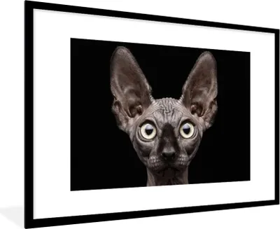 Produktbild von MuchoWow® Gerahmtes Poster Katze - Haustiere - Porträt - Schwarz 90x60 cm - Poster mit Schwarzem Bilderrahmen Wandposter Rahmen Foto Bilder - Wanddekoration - Fotos