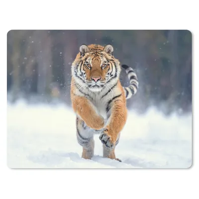 Produktbild von MuchoWow® Mauspad Mousepad Tiger - Landschaft - Schnee - Tiere 40x30 cm - Mousepads - Maus Mat - Pad - Mausunterlage - Anti Rutsch