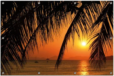 Produktbild von Wallario Outdoor-Poster für Garten oder Balkon, Motiv Sonnenuntergang unter Palmenblättern, in ca. 100 x 150 cm