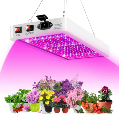 A grow light illuminates a collection of potted plants.