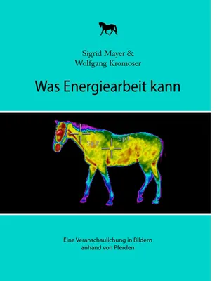 Produktbild von Was Energiearbeit kann